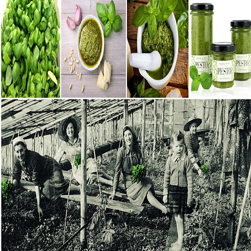 IL PESTO ALLA GENOVESE TRA STORIA E LEGGENDA