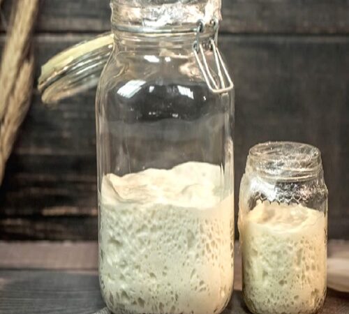 la ricetta del lievito madre pronta in 10 mosse.